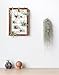 Mkono Large Air Plant Frame Hanging Airplant Holder Tillandsia Display Hanger Wooden Shelf Wall Decor for House Plants, Succulent, 16-Inchthumb 1