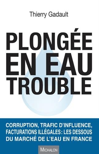 Plongée en eau trouble : Corruption, trafic d'influence, facturations illégales : les dessous du m by