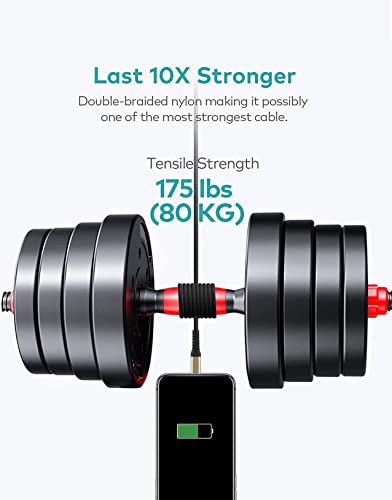 41QmItgmOxL.jpg