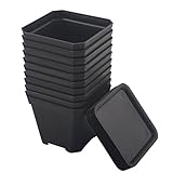 BangQiao 3.90 Inch Plastic Flower Pots for Plants,Cutting,Seedlings, Pack of 10 (Black)