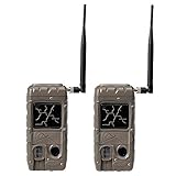 Cuddeback 2 Flash Invisible IR Game Trail Cameras + Wireless Network (2 Each)