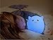 Mystery 3-Modes Silicone Soft LED Multicolor Baby Night Light, USB Rechargeable Pig Night lamp with Warm White, Single Color, Colorful Breathing Modes for Nursery Kids Children Adults Bedroom Decor(C)