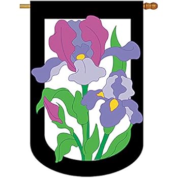 Amazon.com : Premier 52989 House Applique Flag, Spring Pansies, 28 by ...