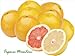 Organic Grapefruit
