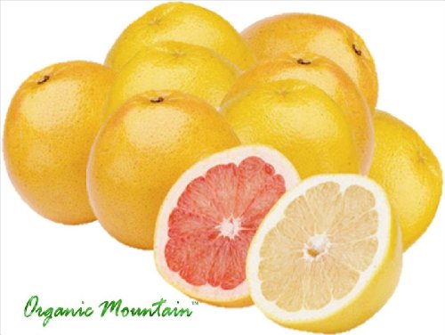 Algopix Similar Product 12 - Organic Grapefruit