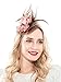 Fascinators Headband for Women Tea Party Hat Kentucky Derby Wedding Flower Mesh Feathers Hair Clip (Coffee)