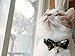 Necoichi Kimono Bow Tie Cat Collar (Black)