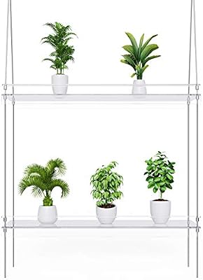 Kunzite Hanging Window Plant Shelves 20 X6 X34 2 Shelves Buy Online At Best Price In Uae Amazon Ae