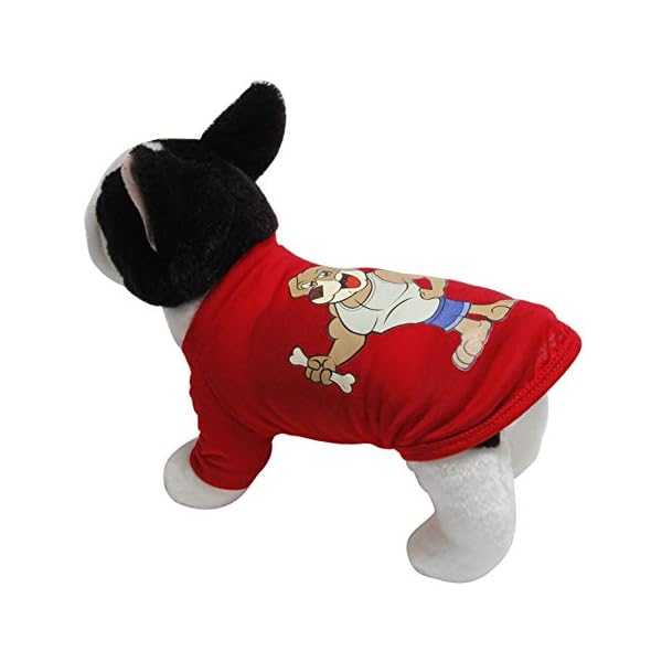 KAIKUN Cappottino Cane Estate Estate Vestiti per Cani Vestiti per Cuccioli Cappotti Doggy Comodi Vestiti per Animali… KAIKUN KAIKUN Cappottino Cane Estate Estate Vestiti per Cani Vestiti per Cuccioli Cappotti Doggy Comodi Vestiti per Animali…