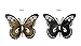 Westcharm Metal Butterfly Wall Decor Art Outdoor Outside Indoor Garden Patio Yard Fence Colored Metal Butterflies, Set of Three Wall Art/Outdoor Wall Decor