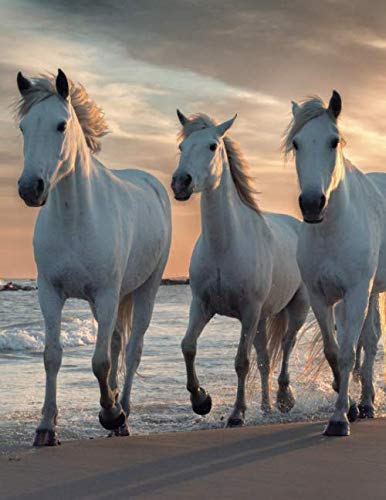 Notebook: College Ruled Composition Notebook / White Horses Cover