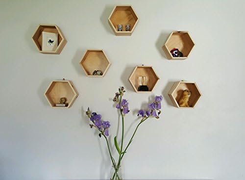 Hexagon Shelf (One)