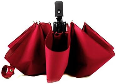 Umbrella Windproof Travel Auto Open Close (Wine red)