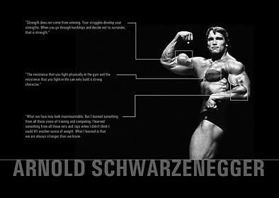 Motivation Arnold Schwarzenegger Differents Documents Gym Determination Panneau A3 Poster Citation Poster Photo Sport Boxe Cyclisme Athletisme Musculation Triathlon Basket Ball Football Rugby Natation Boxe Arts Martiaux