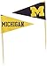 Team ProMark Michigan Wolverines Toothpicks 36 Piece Pennant Style FanPicks