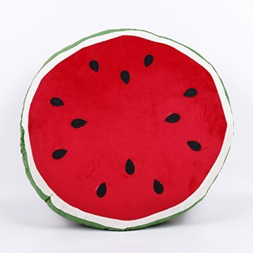 Kaylee & Ryan 15.7" Cute Watermelon Pillow For Kid