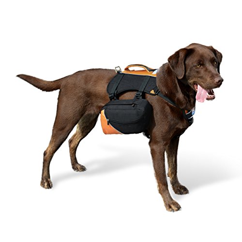 Kurgo big baxter (tm) dog backpack for hiking, walking or camping…