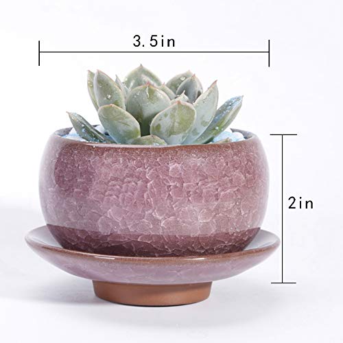 G-LEAF Succulent Plant Pot, Ceramic Cactus Planter Small Flower Pots, Chinese Style Decor Herb Plant Holder for Indoor Outdoor Home Garden Office Plant Container, ï¼ˆ6, Coloful)