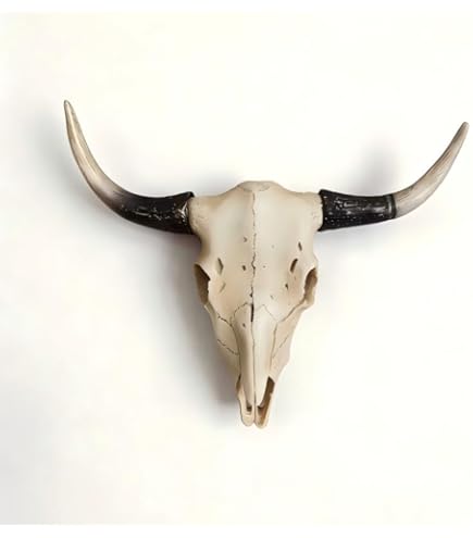 Amazon.com: Zeckos Decorative Filigree Design Hanging Deer Skull