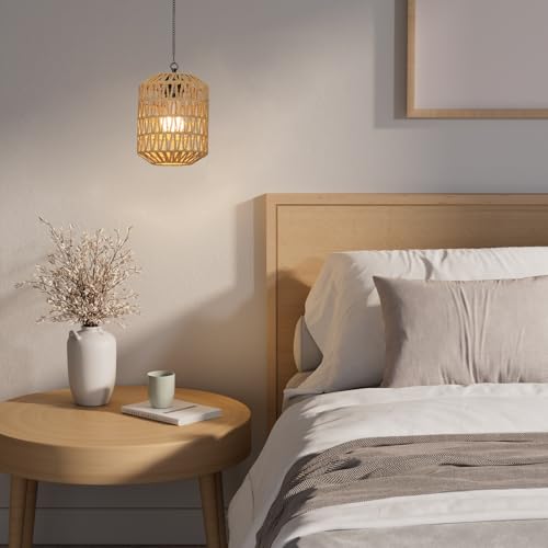 Rayofly 2 Pcs Indoor Rechargeable Hanging Lamp, Boho Hanging Lamp with Battery, Rattan Hanging Lamp without Power Supply, Outdoor Garden Lights with Bulb & Remote Control