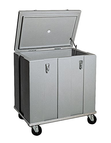 ThermoSafe 300 Heavy Duty Dry Ice Storage Chest with Handle, 3.75 cu. ft. Volume, 28.125" L x 19.125" W x 25.25" H
