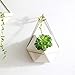 Wall Decor Planters 2 Set White Ceramic Hanging Geometric Wall Decor Container – Great for Succulent Plants, Air Plant, Faux Plants,Whitethumb 4