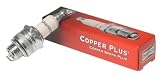 Champion RJ19LM Lawn & Garden Equipment Engine Spark Plug Genuine Original Equipment Manufacturer (OEM) Part