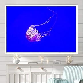signwin Framed Canvas Wall Art Jellyfish Floating Colorful...