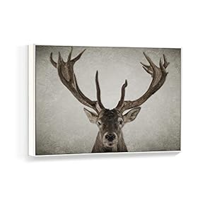 Framed Canvas Wall Art for Living Room, Bedroom Black and White Animal Canvas Prints for Home Decoration Ready to Hanging - 16x24 inches