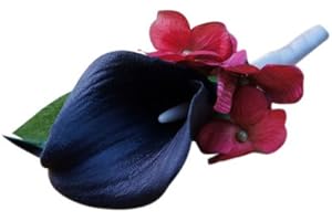 Angel Isabella Boutonniere - Black Calla Lily with Read Hydrangea