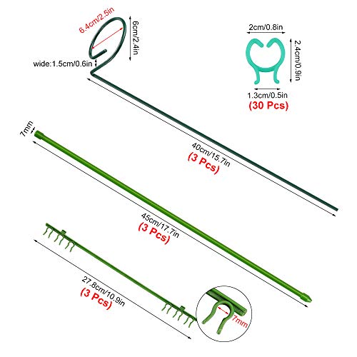 Yotako 3 Pack Metal Plant Support Stakes, 3 Pcs DIY Single Stem Plant Sticks, Plant Cage Support Rings, Garden Tomato Cage with 30 pcs Plant Clips for Plant Flower Growing - Thumbnail 2