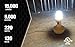 Wobble Light 111303LED Wobblelight V3 220W LED Work Light 15,000 lumens, One Size, Yellow