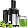 EASEHOLD 1000W Juicer Centrifugal Professional Juice Maker Machine Fruit Vegetable Extractor Whole