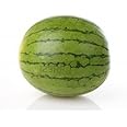 WHOLE WATERMELON MINI FRESH FRUIT PRODUCE VEGETABLES