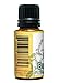 Easy Breathe Essential Oil Blend with Peppermint, Eucalyptus, Clary Sage, Rosemary, Cedar, Aromatherapy by Creation Pharm