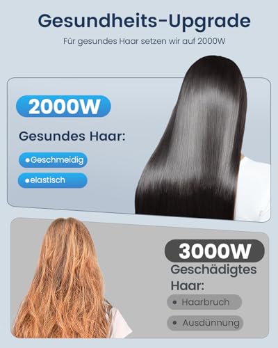 Professional Hair Dryer Ion Hair Dryer Hair Dryer with 1 Diffuser, 2 Styling Nozzles, 3 Heating and 2 Speed Levels, 1.9 Metre Long Power Cable, Strong Hair Dryer for Family (Graphite) | 1 Diffusor 2 Stylingdüse, 3 Heiz und 2 Geschwindigkeitsstufen, 1.9 Meter langes Netzkabel, Starker Fön für Familie ( Graphit)