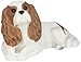 Sandicast Mid Size Ruby Cavalier King Charles Spaniel Sculpture - Lying