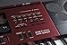 Casio CTK-6250 61-Key Portable Piano Keyboard, Red