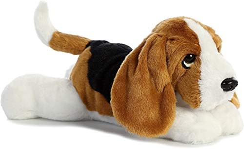 Amazon.com: Hound Won't Go: 9780807534083: Rogers, Lisa, Ishihara