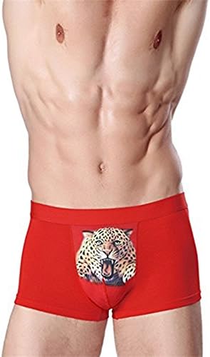 JUMUU Men's Cat Animal Print Stretch Underwear Bulge Pouch Boxers Briefs Underpants (Small/27-29Waist, Red Tiger)