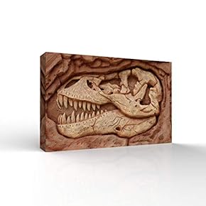 Canvas Wall Art - Animal Fossil Office Poster Prints - Modern Home Art Stretched and Framed Ready to Hang - 12x18 inches