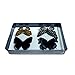 Bug Display Box,Insect Display Case with Pinning Board,8.2 x 2 x 5.9 Inches