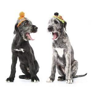 Funny Dogs 2015: Broschürenkalender mit Ferienterminen