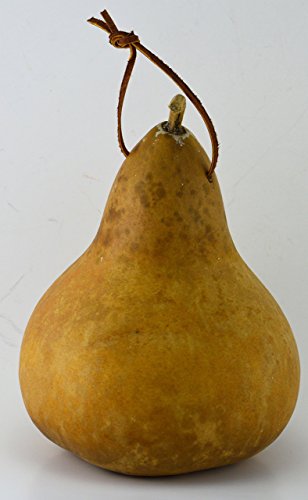 Gourd Birdhouse, Unfinished, Create Your Own Birdhouse, Childrens Crafts, Arts and Crafts, Outdoor crafts, Rustic Décor, Country Life, Bird Lovers, Kids Project - Thumbnail 3