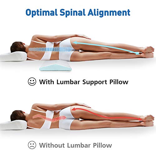 PETSHY Lumbar Support Pillow for Sleeping, Back Support Bed Pillow