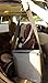 Chilly Seat Car Seat Cooler