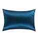 OOSILK Mulberry Charmeuse Silk Pillowcase with Zipper,19MM Queen 20in x 30in, Royal Blue,1pc