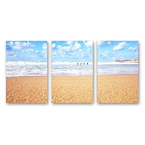 SIGNFORD 3 Piece Canvas Wall Art for Living...