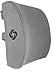 Samsonite Ergonomic Lumbar Support Pillow for Office Chair, Gaming Chair, or Car, Memory Foam Cushion with Ventilated Mesh and Adjustable Strap, Gray