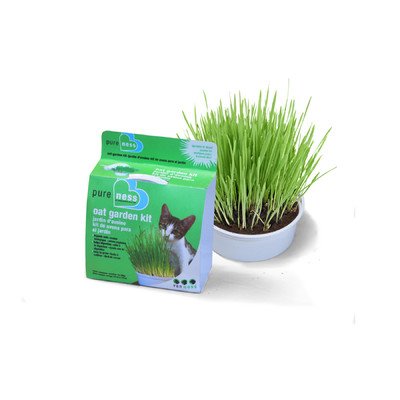 Cat Oat Garden Kit [Set of 3]